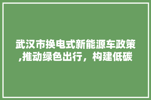 武汉市换电式新能源车政策,推动绿色出行，构建低碳未来