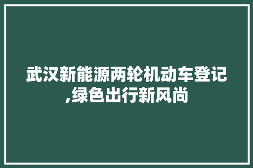 武汉新能源两轮机动车登记,绿色出行新风尚