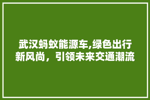 武汉蚂蚁能源车,绿色出行新风尚，引领未来交通潮流