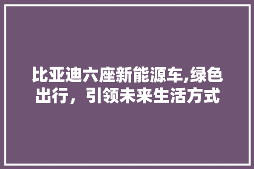 比亚迪六座新能源车,绿色出行，引领未来生活方式