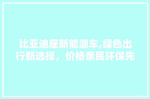 比亚迪座新能源车,绿色出行新选择，价格亲民环保先行