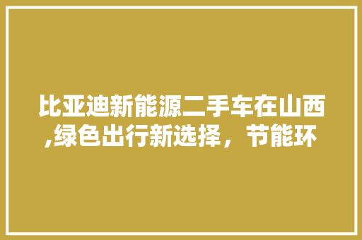 比亚迪新能源二手车在山西,绿色出行新选择，节能环保新篇章