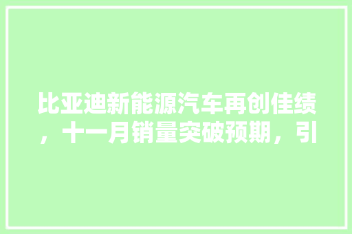 比亚迪新能源汽车再创佳绩，十一月销量突破预期，引领绿色出行新潮流