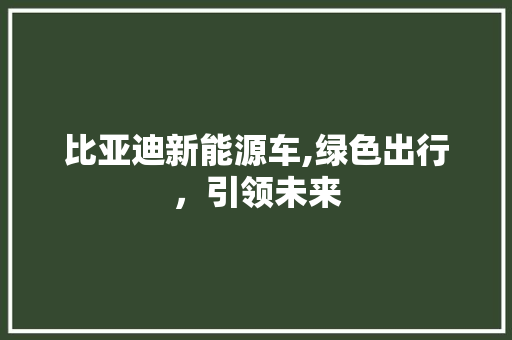 比亚迪新能源车,绿色出行，引领未来