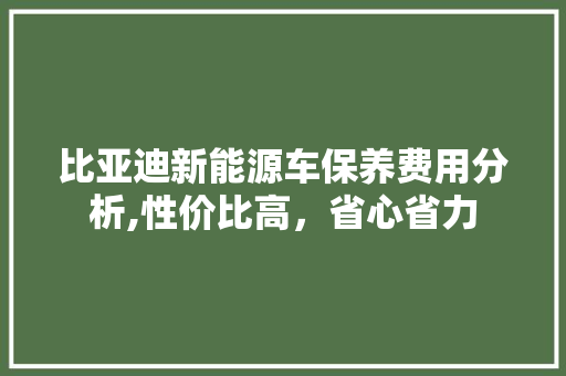 比亚迪新能源车保养费用分析,性价比高，省心省力