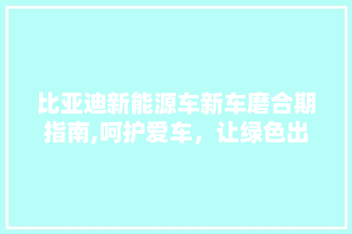 比亚迪新能源车新车磨合期指南,呵护爱车，让绿色出行更安心