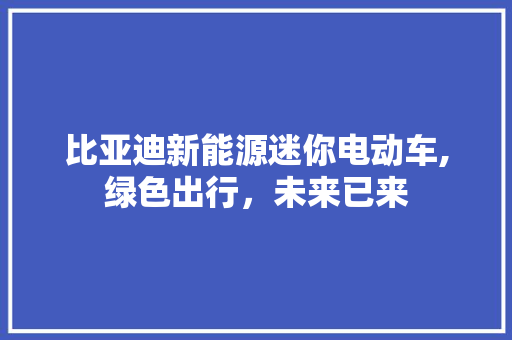 比亚迪新能源迷你电动车,绿色出行，未来已来