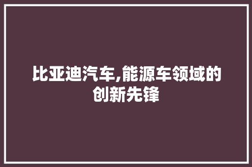 比亚迪汽车,能源车领域的创新先锋