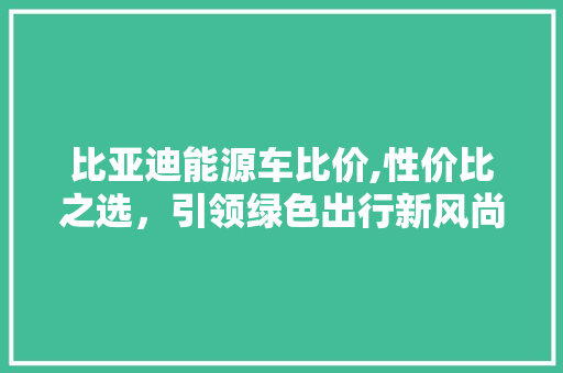 比亚迪能源车比价,性价比之选，引领绿色出行新风尚