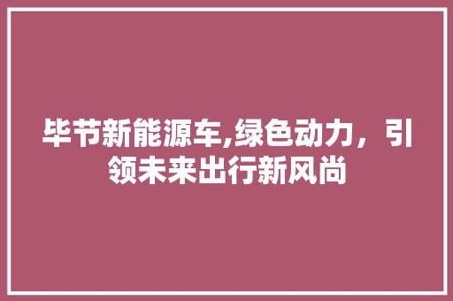 毕节新能源车,绿色动力，引领未来出行新风尚