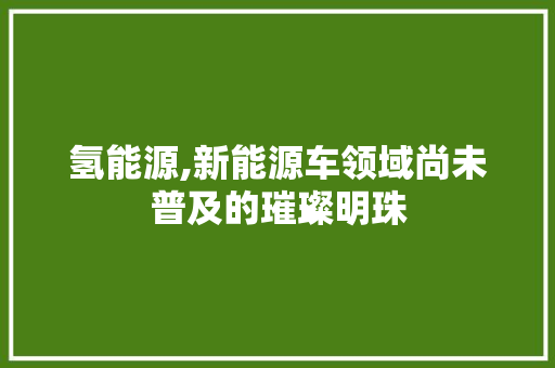 氢能源,新能源车领域尚未普及的璀璨明珠