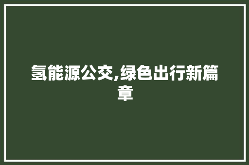 氢能源公交,绿色出行新篇章