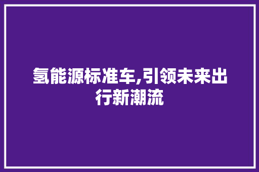 氢能源标准车,引领未来出行新潮流