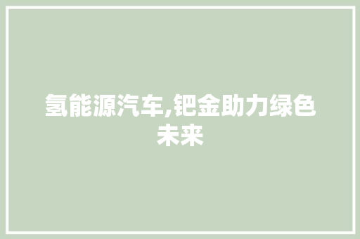 氢能源汽车,钯金助力绿色未来