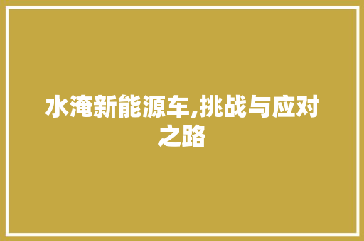 水淹新能源车,挑战与应对之路