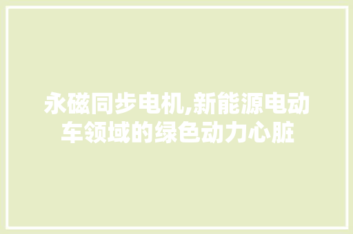 永磁同步电机,新能源电动车领域的绿色动力心脏