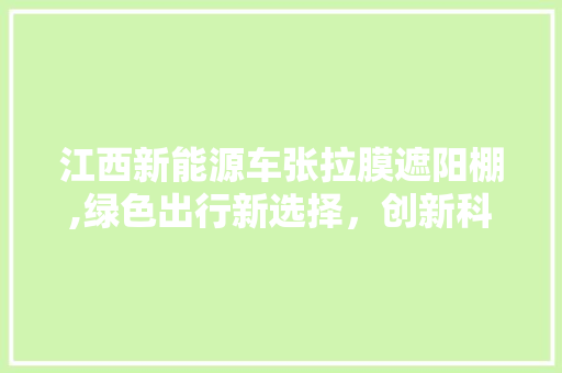 江西新能源车张拉膜遮阳棚,绿色出行新选择，创新科技助力环保