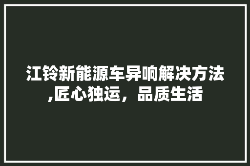 江铃新能源车异响解决方法,匠心独运，品质生活