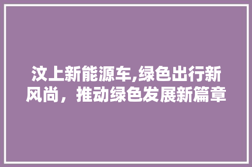 汶上新能源车,绿色出行新风尚，推动绿色发展新篇章