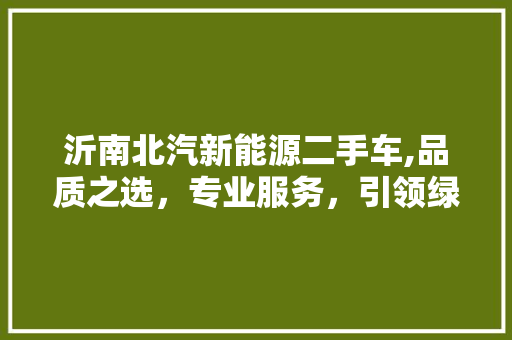沂南北汽新能源二手车,品质之选，专业服务，引领绿色出行