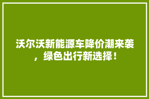 沃尔沃新能源车降价潮来袭，绿色出行新选择！