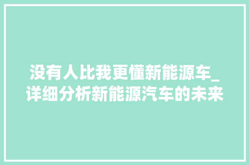 没有人比我更懂新能源车_详细分析新能源汽车的未来与挑战