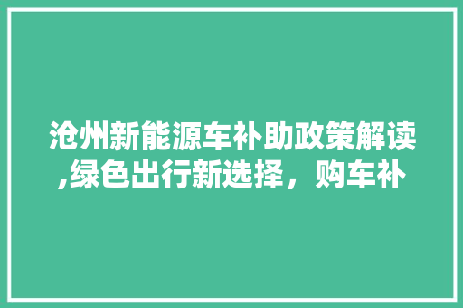 沧州新能源车补助政策解读,绿色出行新选择，购车补贴助力环保