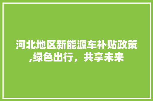 河北地区新能源车补贴政策,绿色出行，共享未来