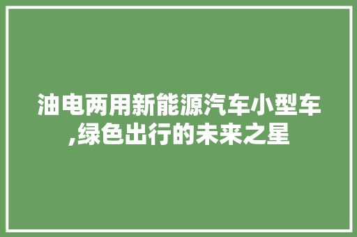油电两用新能源汽车小型车,绿色出行的未来之星