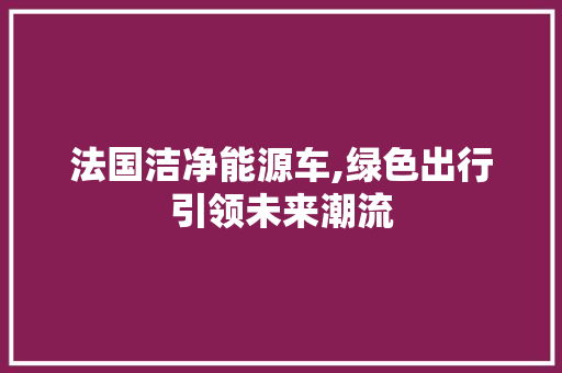 法国洁净能源车,绿色出行引领未来潮流