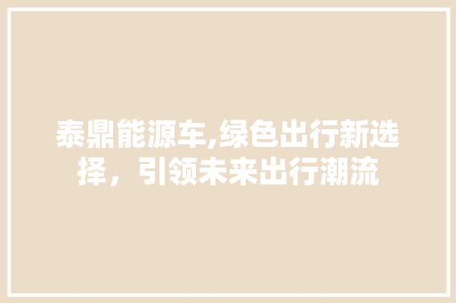泰鼎能源车,绿色出行新选择，引领未来出行潮流