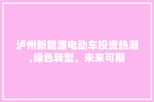 泸州新能源电动车投资热潮,绿色转型，未来可期