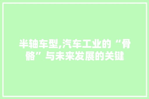 半轴车型,汽车工业的“骨骼”与未来发展的关键