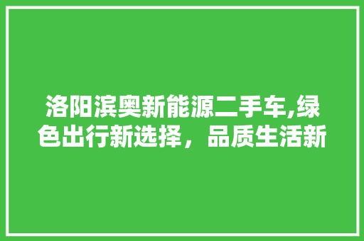 洛阳滨奥新能源二手车,绿色出行新选择，品质生活新起点