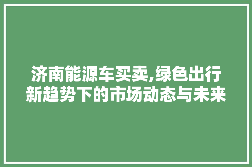 济南能源车买卖,绿色出行新趋势下的市场动态与未来展望