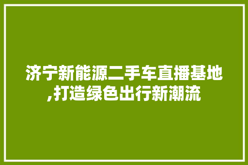 济宁新能源二手车直播基地,打造绿色出行新潮流
