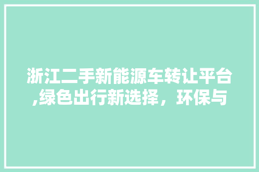 浙江二手新能源车转让平台,绿色出行新选择，环保与经济双赢之路