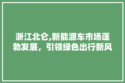 浙江北仑,新能源车市场蓬勃发展，引领绿色出行新风尚