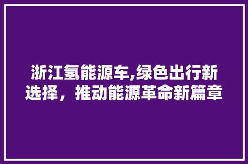 浙江氢能源车,绿色出行新选择，推动能源革命新篇章