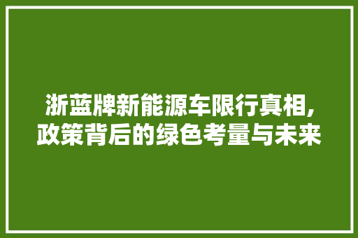 浙蓝牌新能源车限行真相,政策背后的绿色考量与未来展望