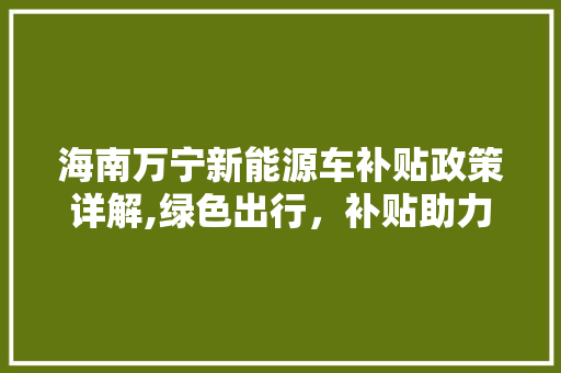 海南万宁新能源车补贴政策详解,绿色出行，补贴助力