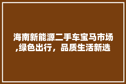 海南新能源二手车宝马市场,绿色出行，品质生活新选择