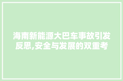 海南新能源大巴车事故引发反思,安全与发展的双重考量