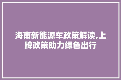 海南新能源车政策解读,上牌政策助力绿色出行