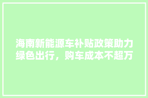 海南新能源车补贴政策助力绿色出行，购车成本不超万元