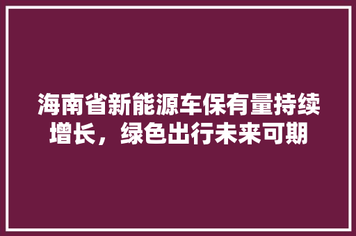 海南省新能源车保有量持续增长，绿色出行未来可期