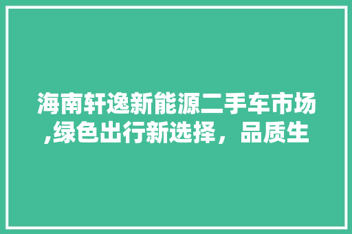 海南轩逸新能源二手车市场,绿色出行新选择，品质生活新篇章