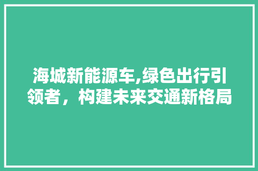 海城新能源车,绿色出行引领者，构建未来交通新格局