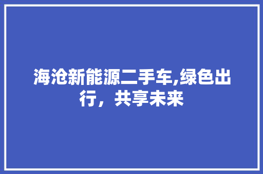 海沧新能源二手车,绿色出行，共享未来
