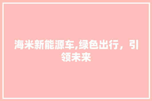 海米新能源车,绿色出行，引领未来
